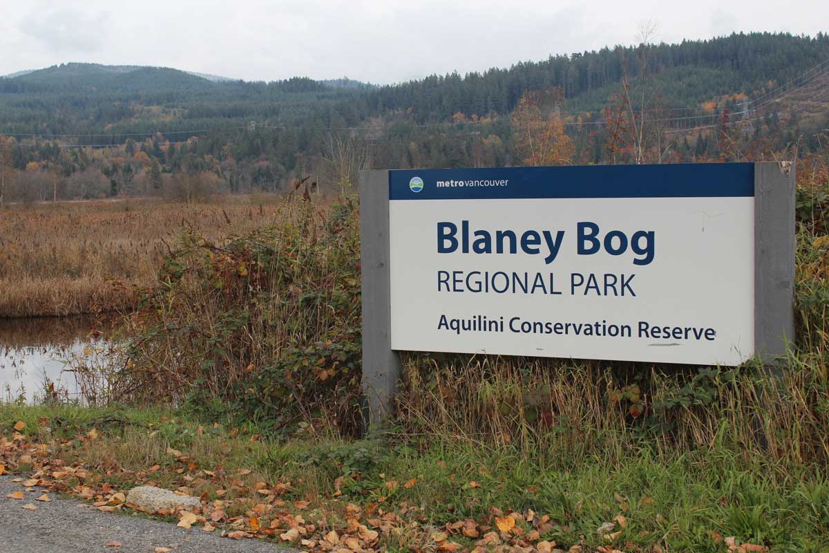 Image of Aquilini Conservation Reserve - Blaney Bog
